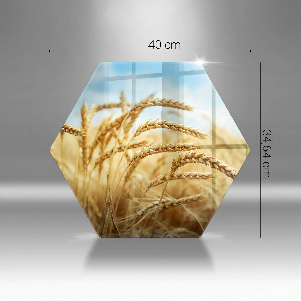Skleněná deska do kuchyně Klasy obilovin na poli