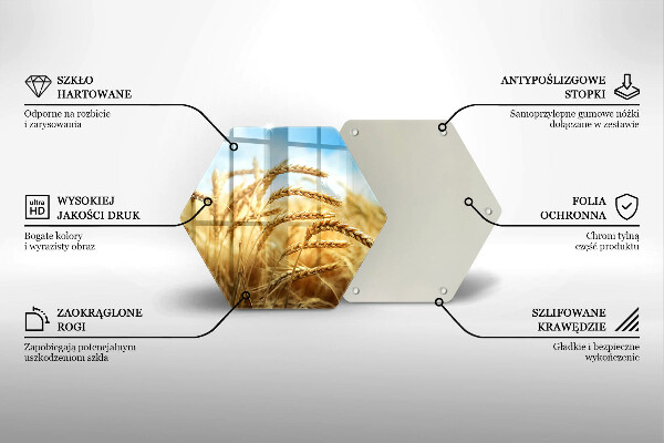 Skleněná deska do kuchyně Klasy obilovin na poli