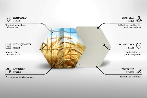 Skleněná deska do kuchyně Klasy obilovin na poli