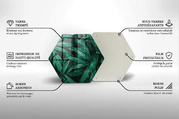 Skleněné krájecí prkénko Listy rostlin