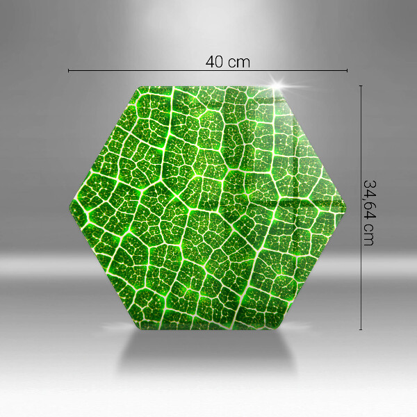 Skleněné krájecí prkénko Struktura listu