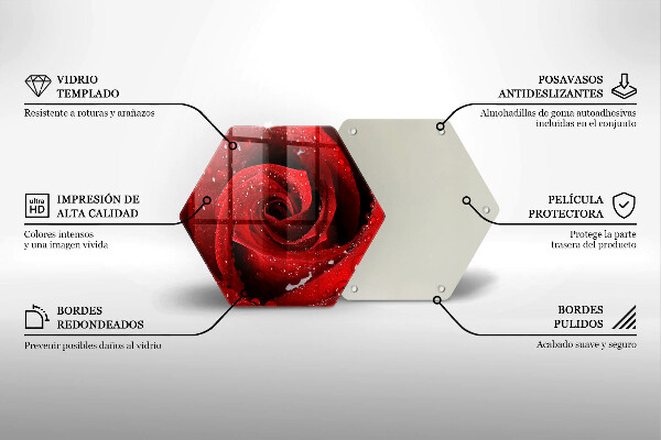 Skleněná deska do kuchyně Okvětní lístky růže