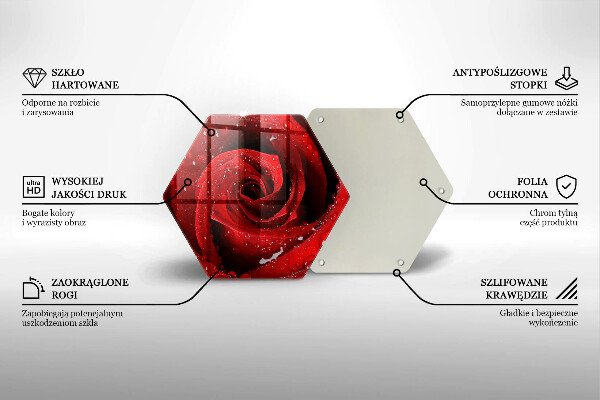 Skleněná deska do kuchyně Okvětní lístky růže