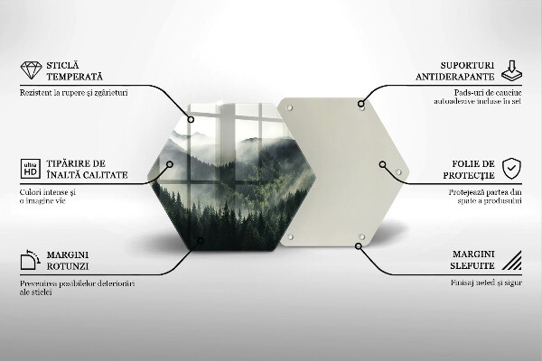 Skleněná deska do kuchyně Les a mlha krajina