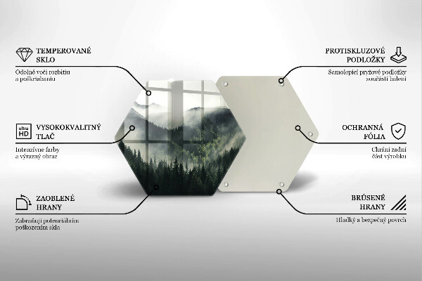 Skleněná deska do kuchyně Les a mlha krajina