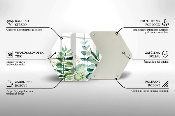 Skleněná deska do kuchyně Ilustrace rostlin listy