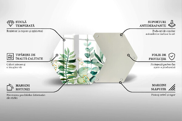 Skleněná deska do kuchyně Ilustrace rostlin listy