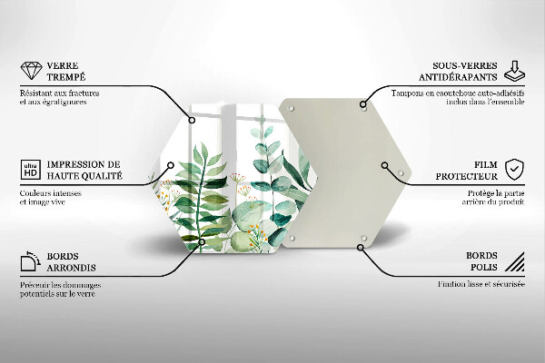 Skleněná deska do kuchyně Ilustrace rostlin listy