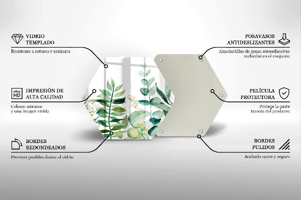 Skleněná deska do kuchyně Ilustrace rostlin listy