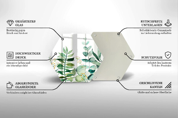 Skleněná deska do kuchyně Ilustrace rostlin listy