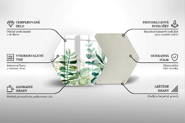 Skleněná deska do kuchyně Ilustrace rostlin listy