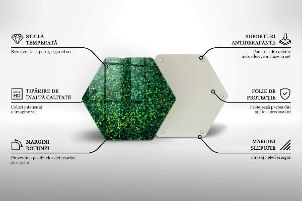 Skleněná krájecí deska Rostlina s malými listy