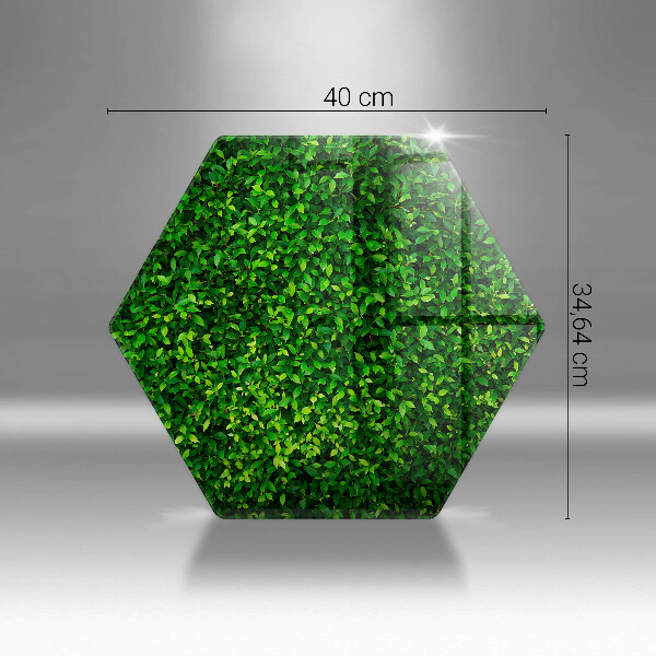 Skleněná krájecí deska Rostlina s malými listy