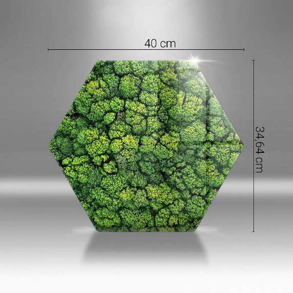 Skleněná krájecí deska Přírodní mechová rostlina