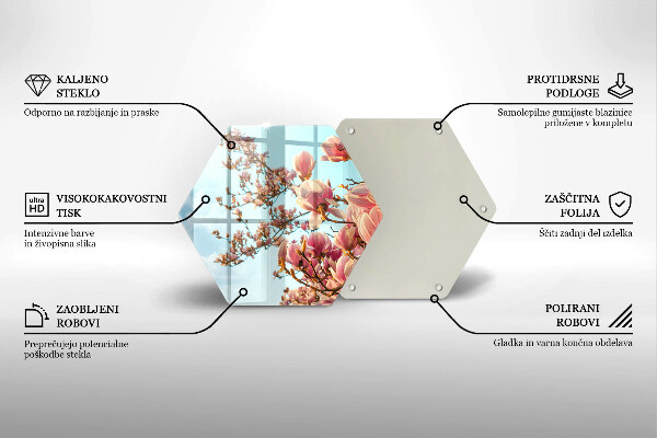 Skleněná deska do kuchyně Růžové květy strom