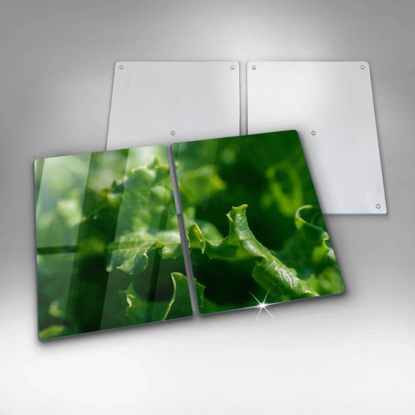 Skleněná deska za sporák Listy salátu