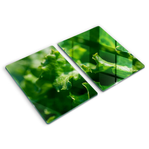 Skleněná deska za sporák Listy salátu