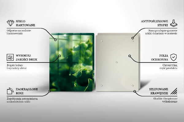 Skleněná deska za sporák Listy salátu