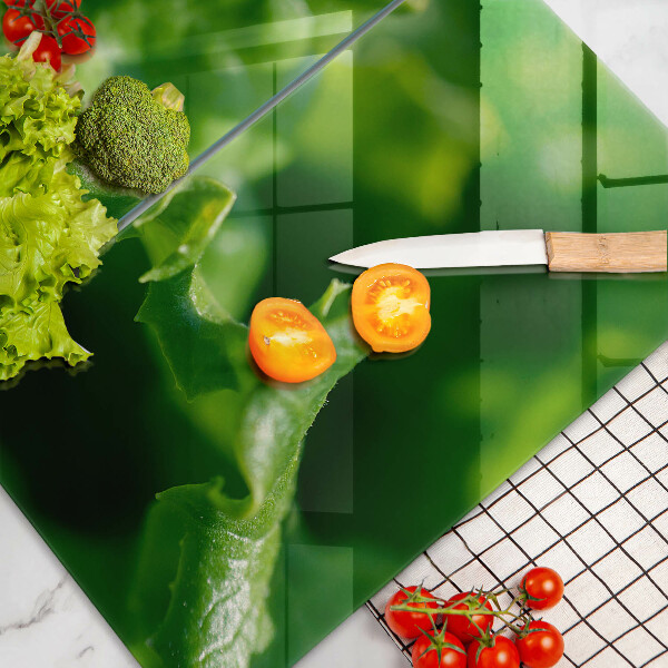 Skleněná deska za sporák Listy salátu