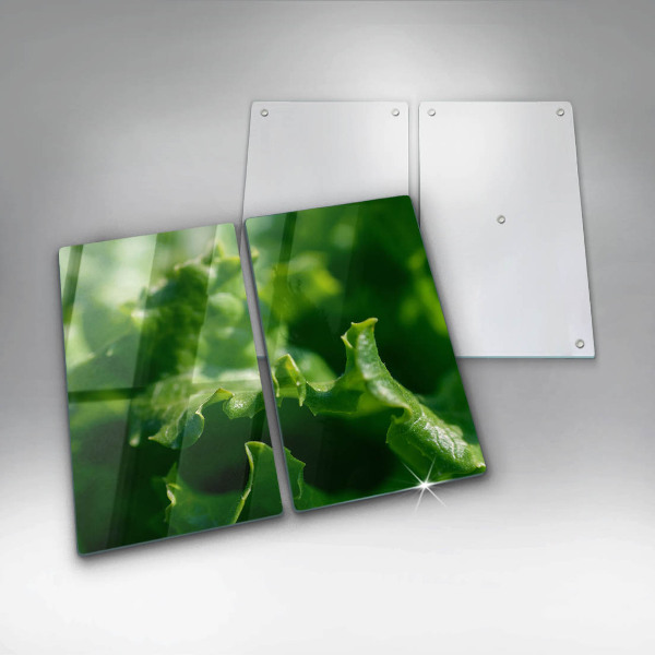 Skleněná deska za sporák Listy salátu