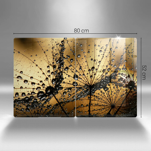 Skleněná deska za sporák Rosa a pampelišky