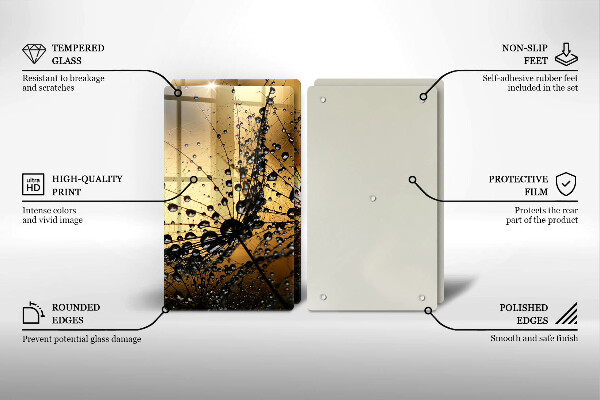 Skleněná deska za sporák Rosa a pampelišky