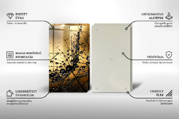 Skleněná deska za sporák Rosa a pampelišky