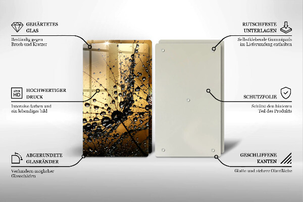 Skleněná deska za sporák Rosa a pampelišky