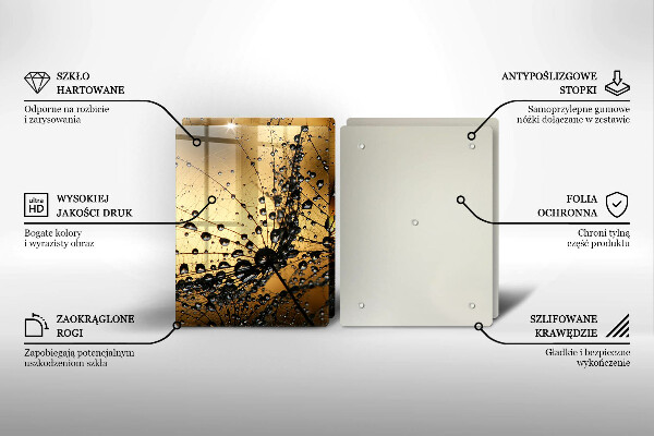 Skleněná deska za sporák Rosa a pampelišky