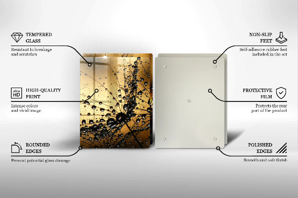 Skleněná deska za sporák Rosa a pampelišky