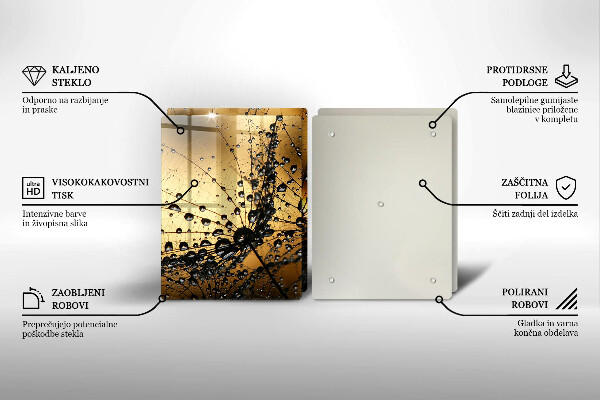 Skleněná deska za sporák Rosa a pampelišky