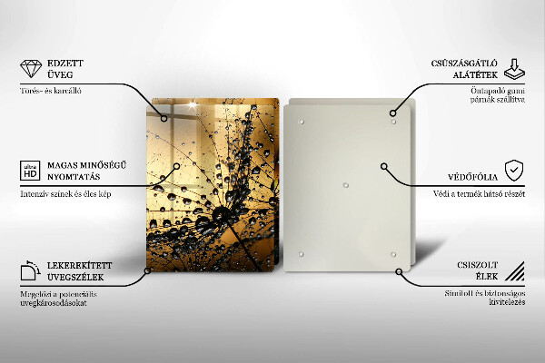 Skleněná deska za sporák Rosa a pampelišky