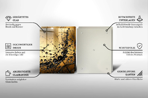 Skleněná deska za sporák Rosa a pampelišky