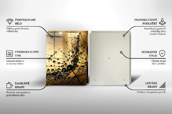 Skleněná deska za sporák Rosa a pampelišky