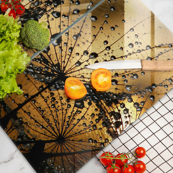 Skleněná deska za sporák Rosa a pampelišky