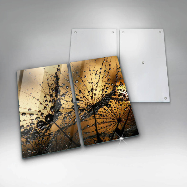 Skleněná deska za sporák Rosa a pampelišky