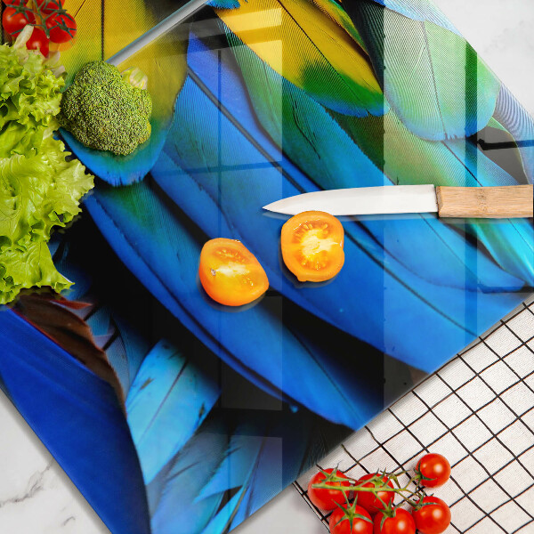 Sklo za varnou desku Barevné papouščí peří