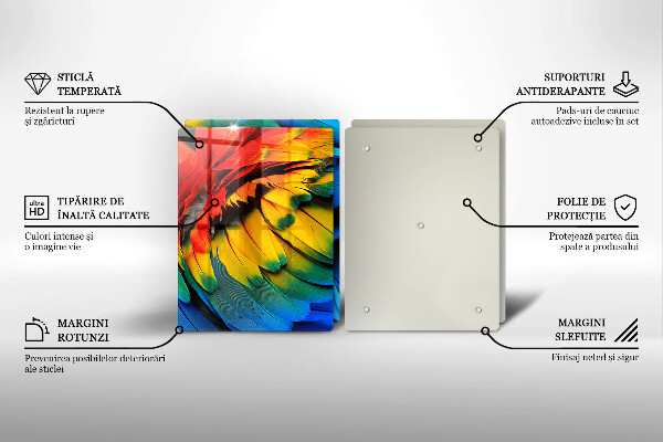 Sklo za varnou desku Barevné papouščí peří