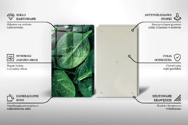 Skleněná deska za sporák Listy bazalky