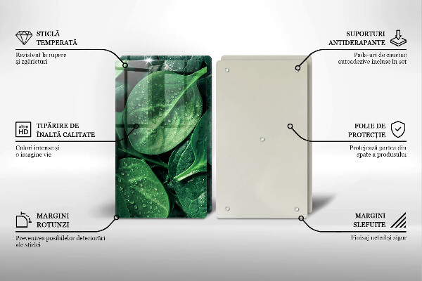 Skleněná deska za sporák Listy bazalky