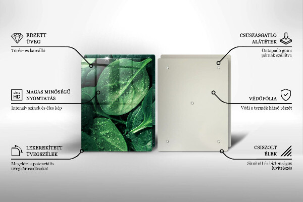 Skleněná deska za sporák Listy bazalky