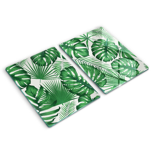 Skleněná deska za sporák Monstera odchází