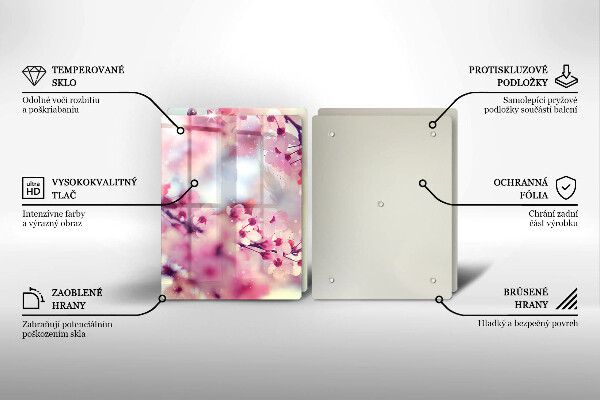 Skleněná deska za sporák Příroda jabloňové květy