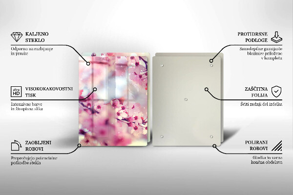 Skleněná deska za sporák Příroda jabloňové květy