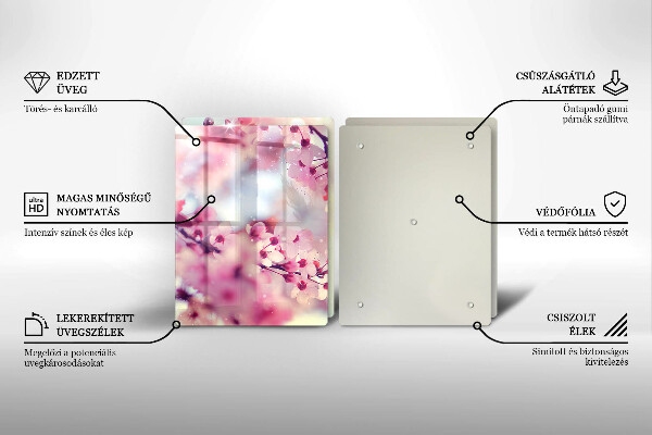 Skleněná deska za sporák Příroda jabloňové květy