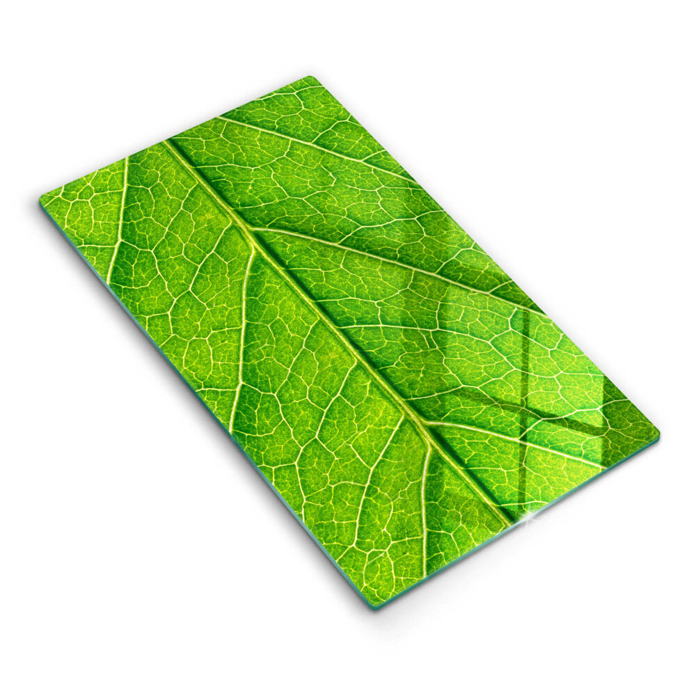 Kryt na varnou desku Přírodní listové žíly