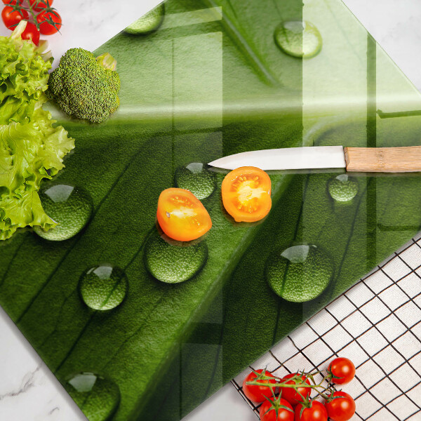 Sklo za sporák Příroda rosa a list