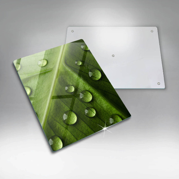 Sklo za sporák Příroda rosa a list