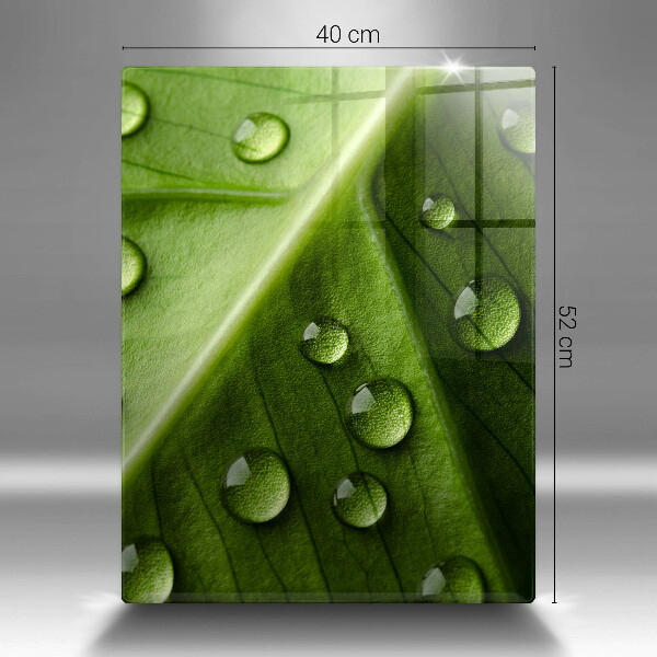 Sklo za sporák Příroda rosa a list