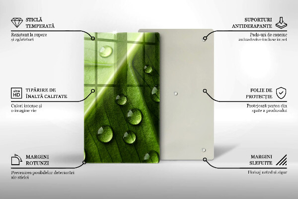 Sklo za sporák Příroda rosa a list